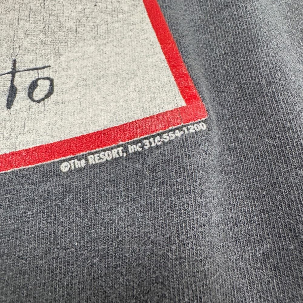 VTG Wizard Of Oz T-Shirt Men's XL Fruit Of The Loom 100% Cotton Single Stitch - Picture 6 of 12